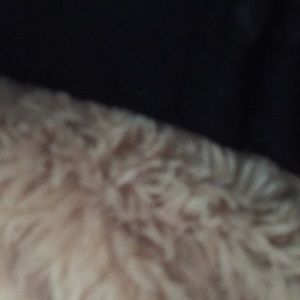 Meet your Posher, Bella